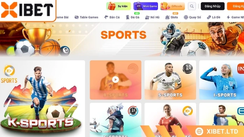 Tối ưu hóa bản địa hóa: xibet đáp ứng toàn diện nhu cầu rút tiền của bạn